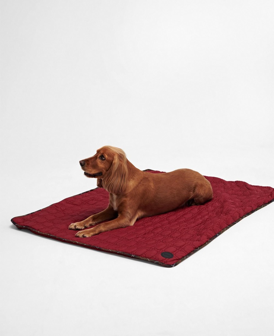 hondenbotquilt