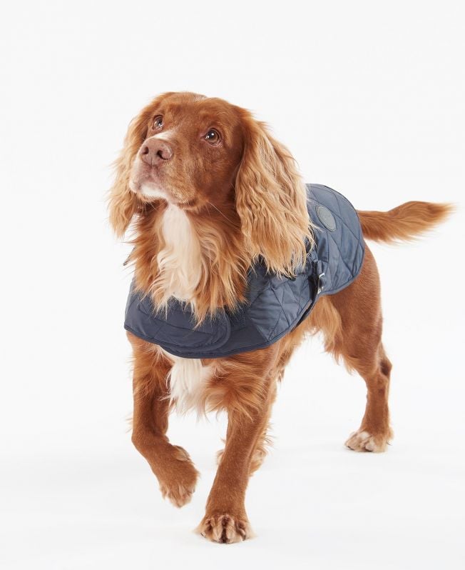 gewatteerde jas voor honden