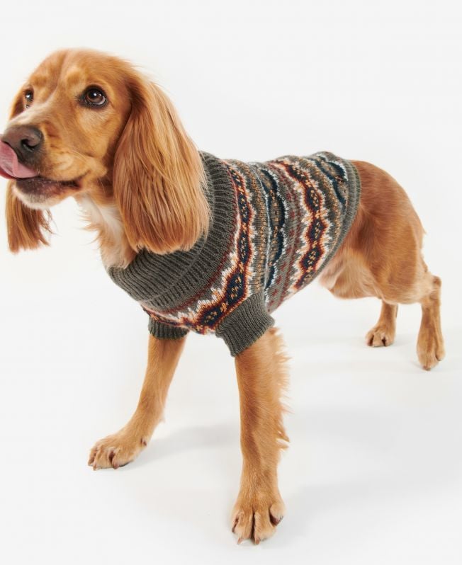 trui case fairisle hond