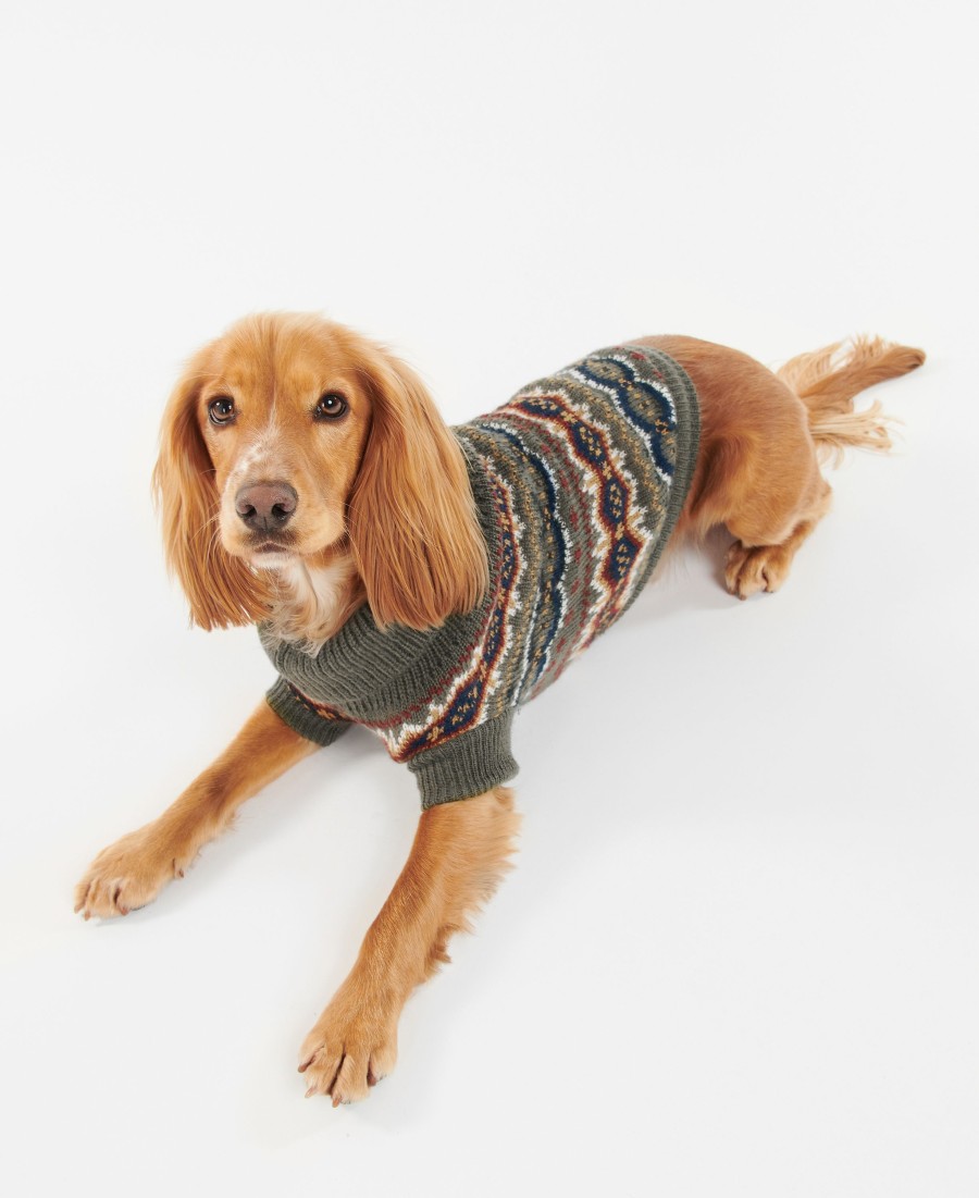 trui case fairisle hond