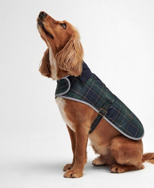 hondenjas met wetherham-tartan