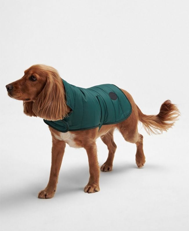 gewatteerde jas voor honden