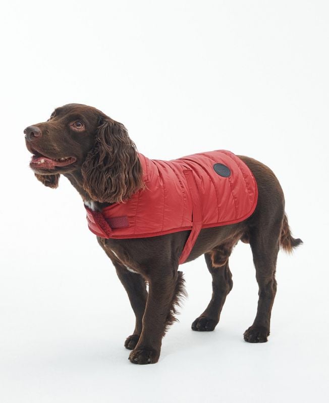 gewatteerde jas voor honden