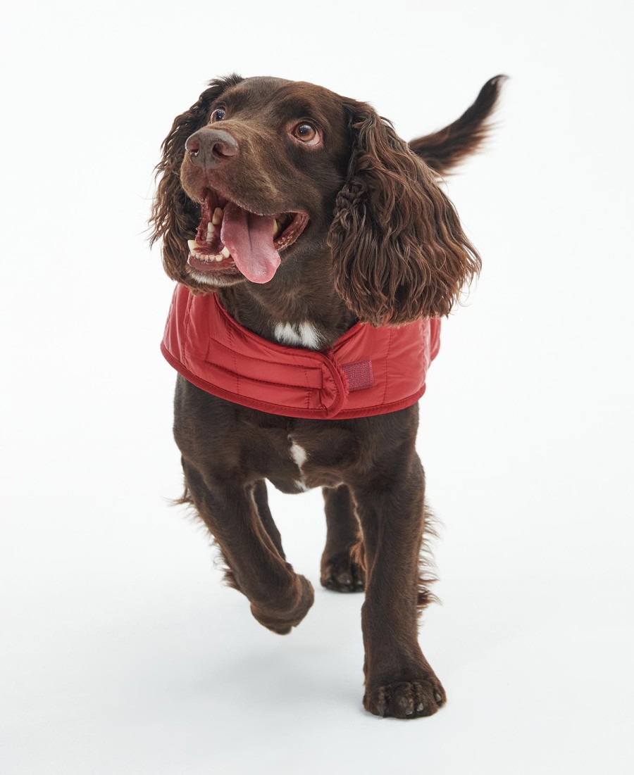 gewatteerde jas voor honden
