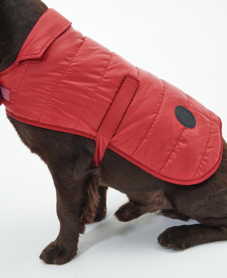 gewatteerde jas voor honden
