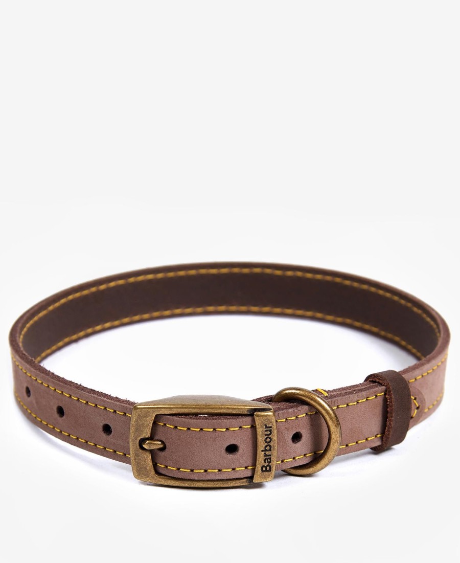 leren hondenhalsband