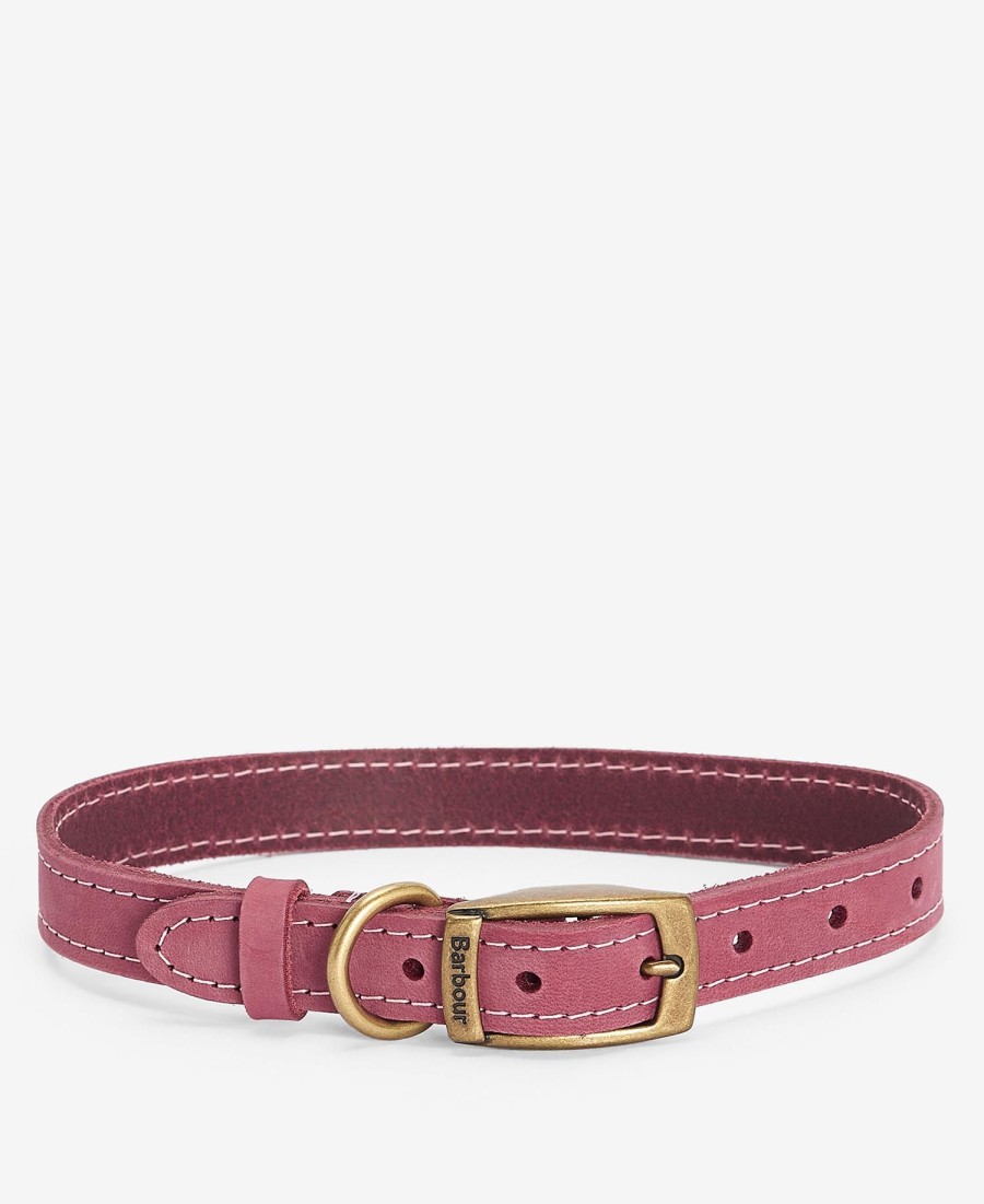 leren hondenhalsband