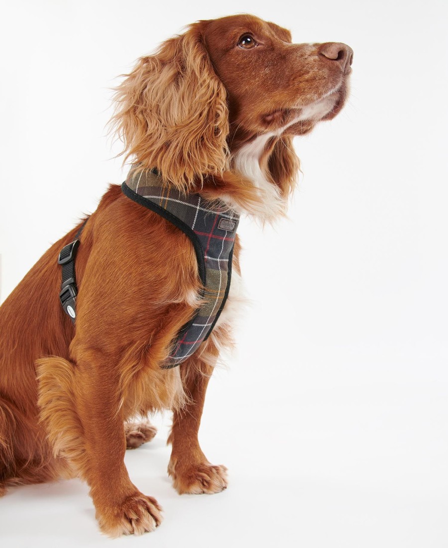 tartan hondentuigje