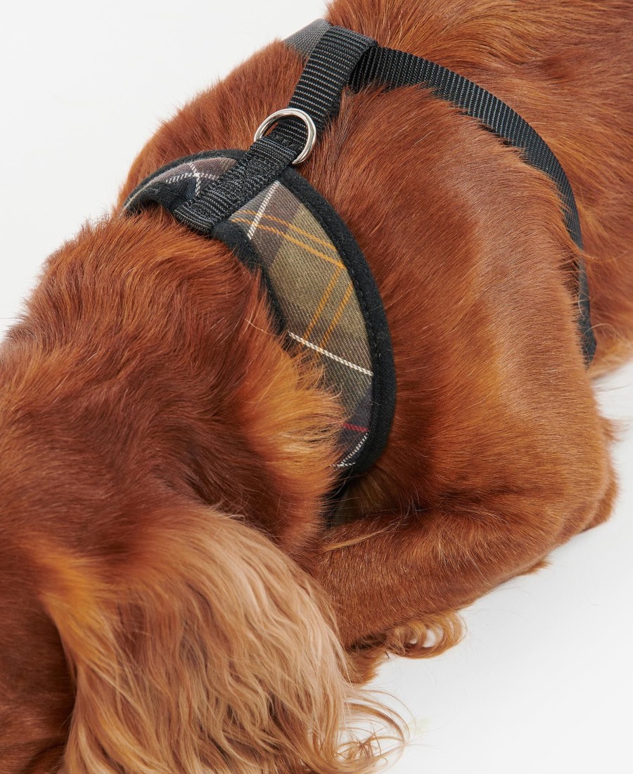 tartan hondentuigje