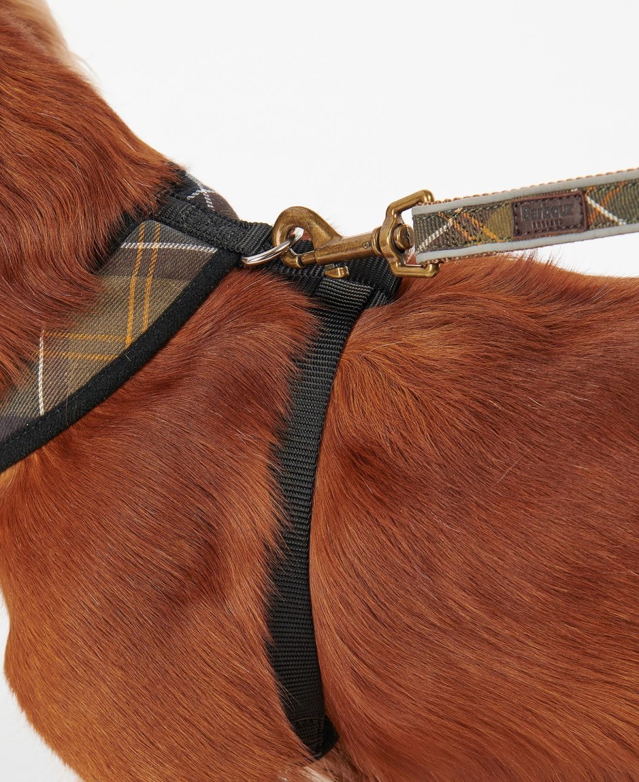 tartan hondentuigje