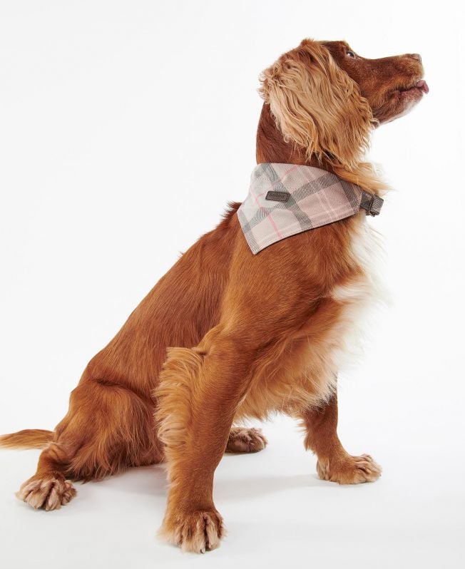 geruite bandana