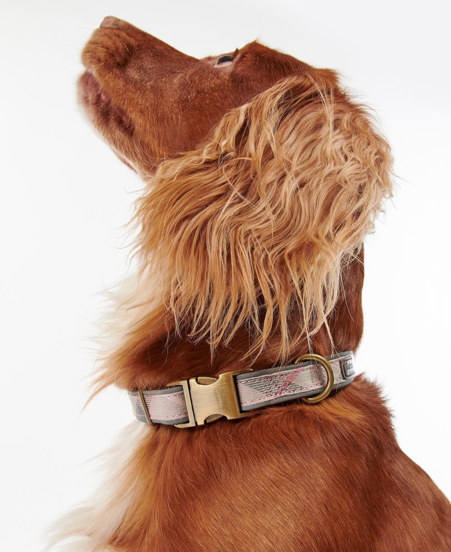 reflecterende hondenhalsband met tartanprint