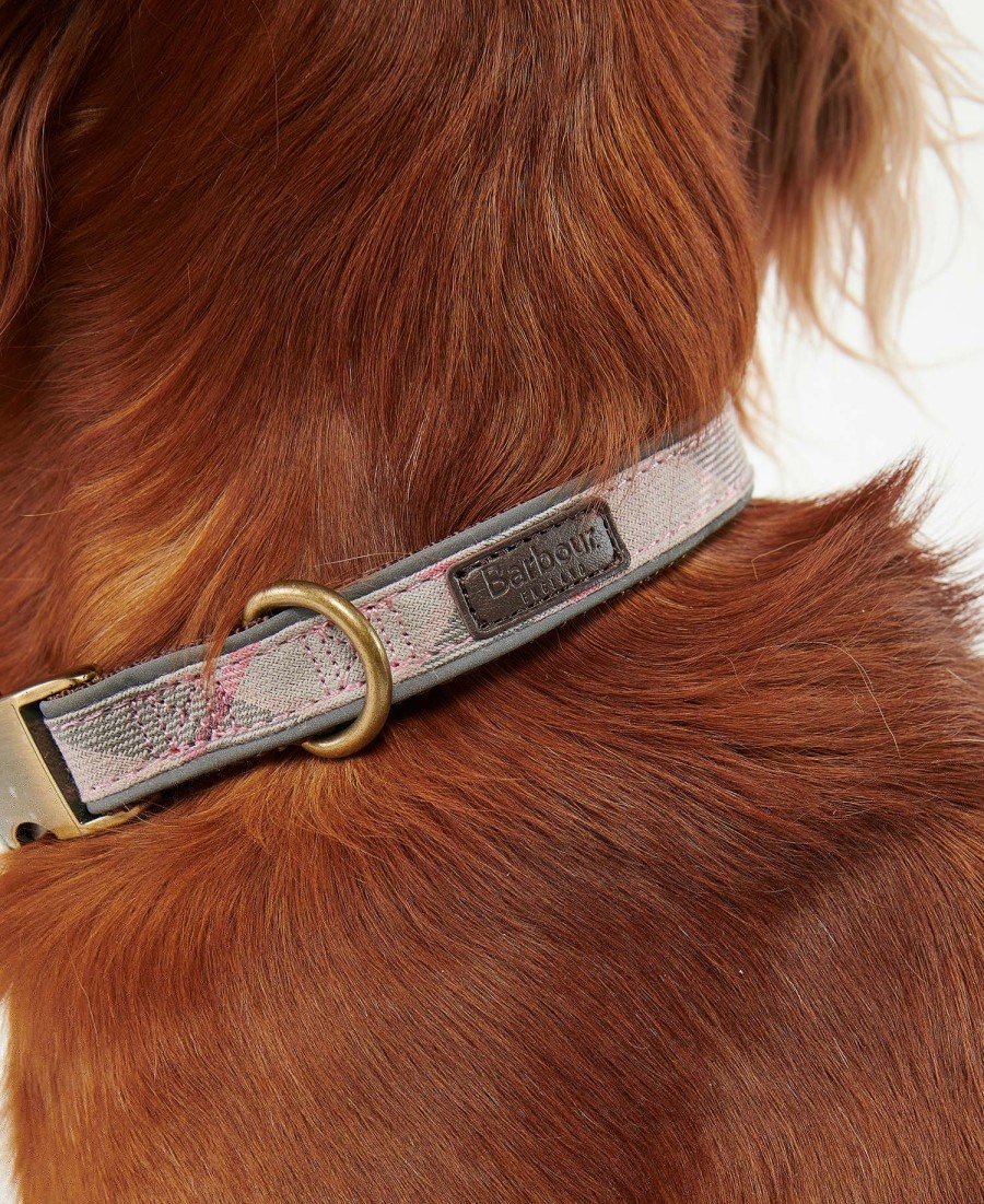 reflecterende hondenhalsband met tartanprint