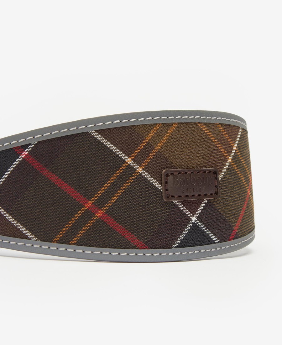 comfort lurcher hondenhalsband