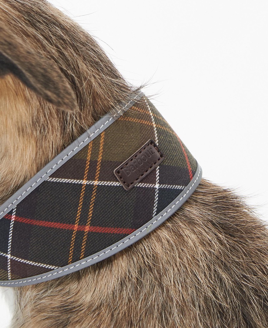 comfort lurcher hondenhalsband