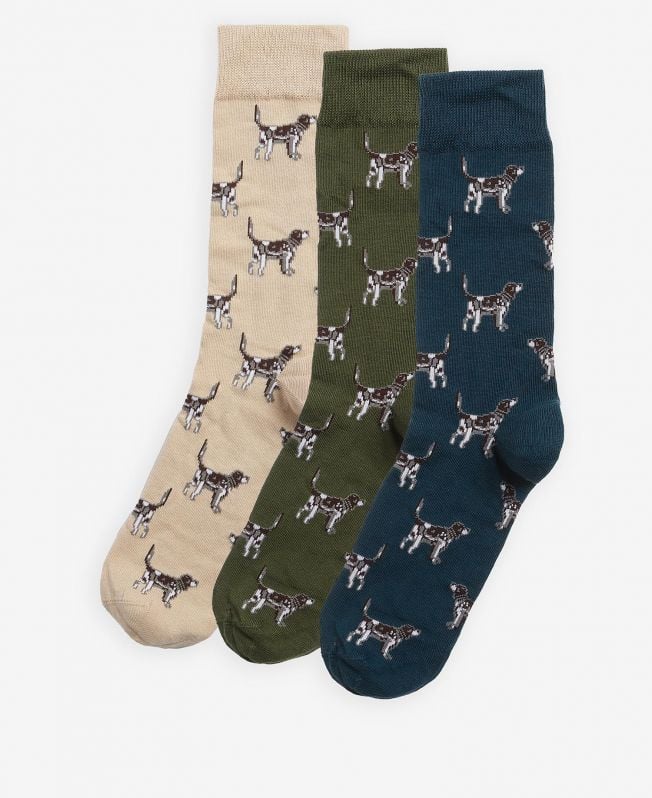 cadeauverpakking met sokken voor pointerhonden