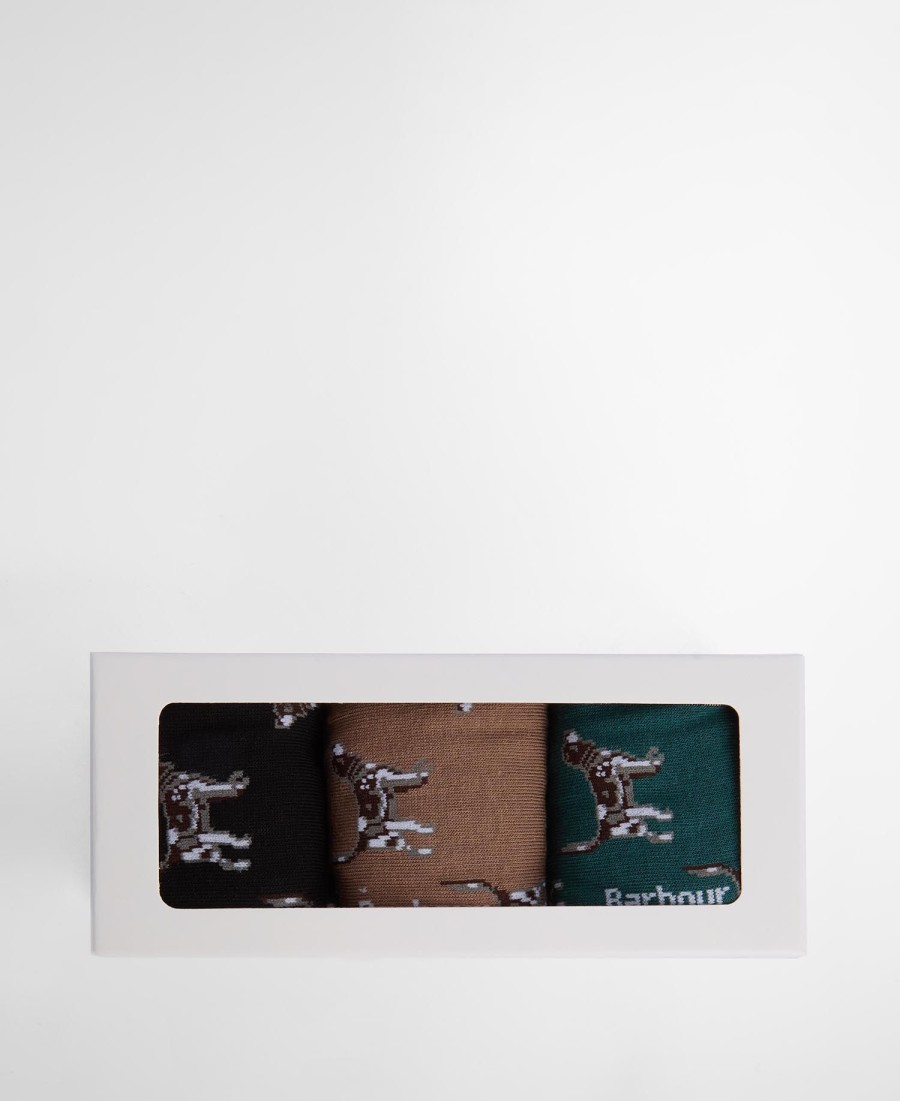 cadeauverpakking met sokken voor pointerhonden